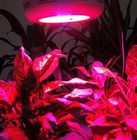 90W 구 수경 법 &amp; 원 예 &amp; 온실 led 실내 식물의 성장 조명