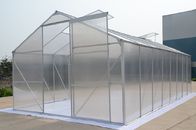 수경법 토마토/야채를 위한 알루미늄 구조 폴리탄산염 장 가정 정원 온실