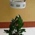에너지 절약 고성능 LED는 온실을 위한 식물 가벼운 장비 RCG 50W를 성장합니다
