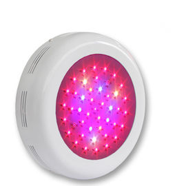 가득 차있는 스펙트럼 식물 빛 Ip65 100 Lm/W 2700 - 6500k는, 실내 LED 빛을 성장합니다