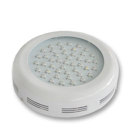 고성능 LED 식물은 가벼운 3watt 환경 친절한 85를 - 265v CRI > 80 성장합니다