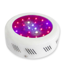 꽃이 피는 LED 식물은 긴 수명 50000 시간을 가진 가벼운 3watt 식물 성장을 성장합니다
