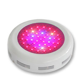 파란 스펙트럼 LED 식물은 가벼운 3w 알루미늄, LED 램프 식물 성장을 성장합니다
