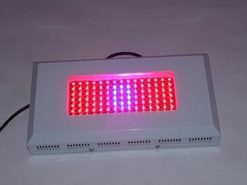 고성능 Hydroponic LED는 Lightst 1watt AC 85를 성장합니다 ~ 264V의 온실은 빛을 성장합니다
