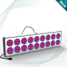 적청 수경법 LED는 가벼운 630nm/460nm 612W~644W D C 32를 성장합니다 ~ 45V의 LED 식물은 램프를 성장합니다