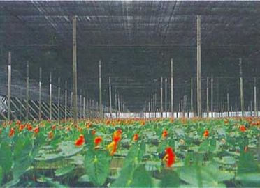 농업 온실 그늘 그물세공, 2 x 100m, 30gsm - 300gsm