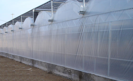 9600mm 경간 상업적인 온실, 4000mm는 공기 인플레 필름 벤로 온실을 구분합니다
