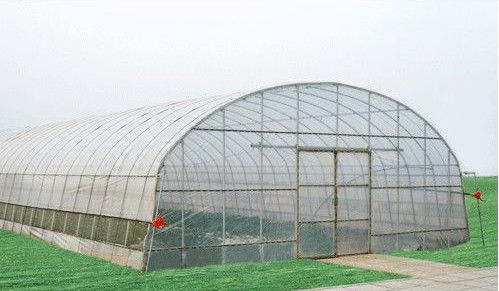 10000mm 경간 상업적인 온실 경제적인 갱도 온실