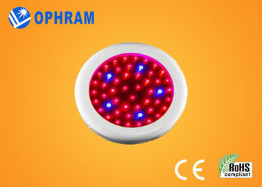 Epistar IP20 50W 가득 차있는 스펙트럼 LED는 꽃 AC85-265V를 위한 빛을 성장합니다