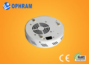 Epistar IP20 50W 가득 차있는 스펙트럼 LED는 꽃 AC85-265V를 위한 빛을 성장합니다