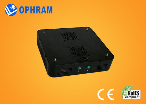 120W IP20 AC85-265V Epistar 10%-90% RH 가득 차있는 스펙트럼 LED는 빛을 성장합니다