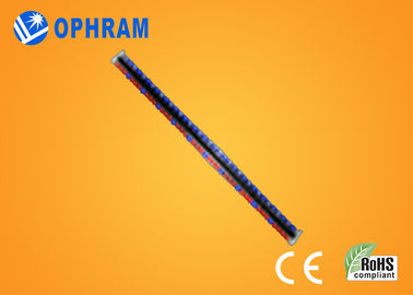 높은 광도 Epistar IP65는 빨강과 파란 LED 세륨/ROHS를 가진 빛을 성장합니다