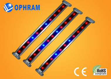 10W SMD 2835는 식물성/꽃이 피는 LED 180° 광속 각을 가진 빛을 성장합니다