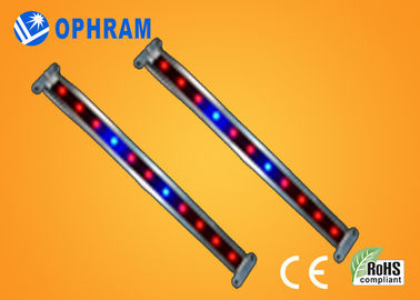 10W SMD 2835는 식물성/꽃이 피는 LED 180° 광속 각을 가진 빛을 성장합니다