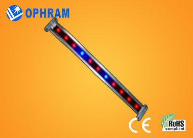 10W SMD 2835는 식물성/꽃이 피는 LED 180° 광속 각을 가진 빛을 성장합니다