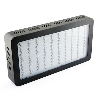 높은 루멘 정원 실내 식물 가득 차있는 스펙트럼 300watt LED는 Epistar leds를 가진 빛을 성장합니다